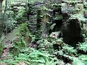 2010-06-12, Uttewalder Grund (21)